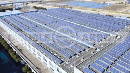 1740123945913175D417.png 1740123945913175D417.png